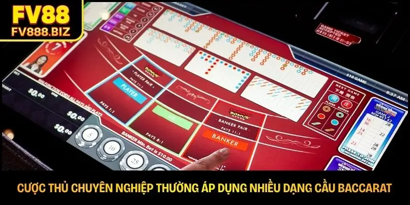 Cược thủ chuyên nghiệp thường áp dụng nhiều dạng cầu baccarat