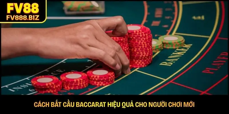 Cách Bắt Cầu Baccarat Hiệu Quả Cho Người Chơi Mới