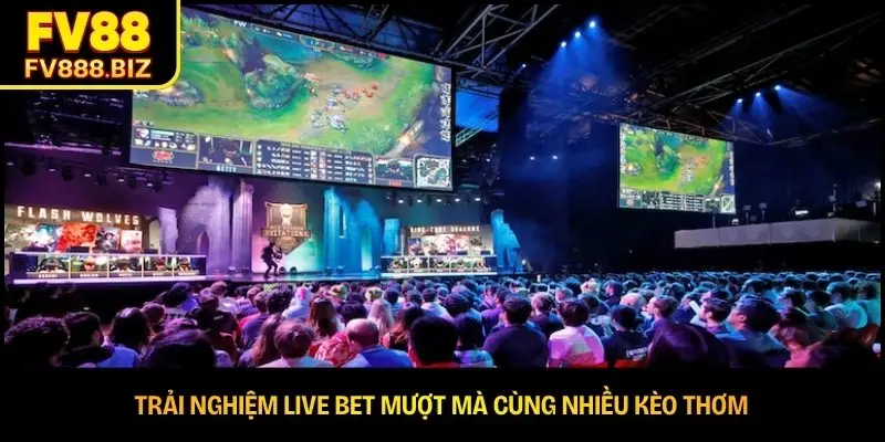 Trải nghiệm live bet mượt mà cùng nhiều kèo thơm 