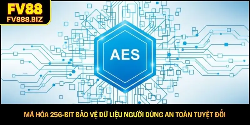 Mã hóa 256-bit bảo vệ dữ liệu người dùng an toàn tuyệt đối 