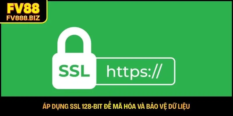 Áp dụng SSL 128-bit để mã hóa và bảo vệ dữ liệu 