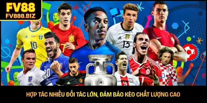 Hợp tác nhiều đối tác lớn, đảm bảo kèo chất lượng cao 