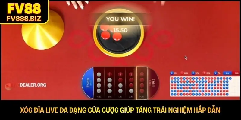 Xóc đĩa live đa dạng cửa cược giúp tăng trải nghiệm hấp dẫn
