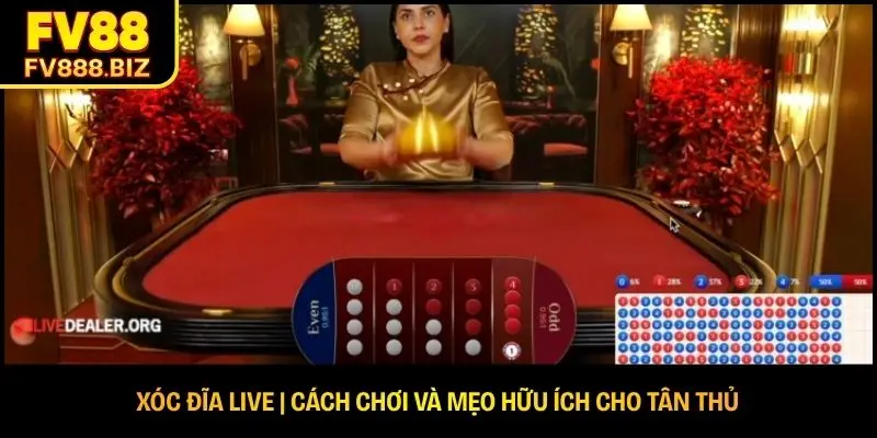 Xóc Đĩa Live | Cách Chơi Và Mẹo Hữu Ích Cho Tân Thủ